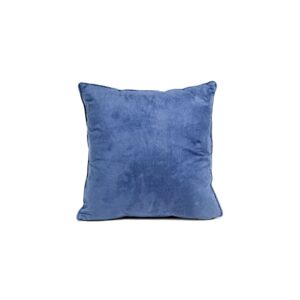 Cushion Cleaning